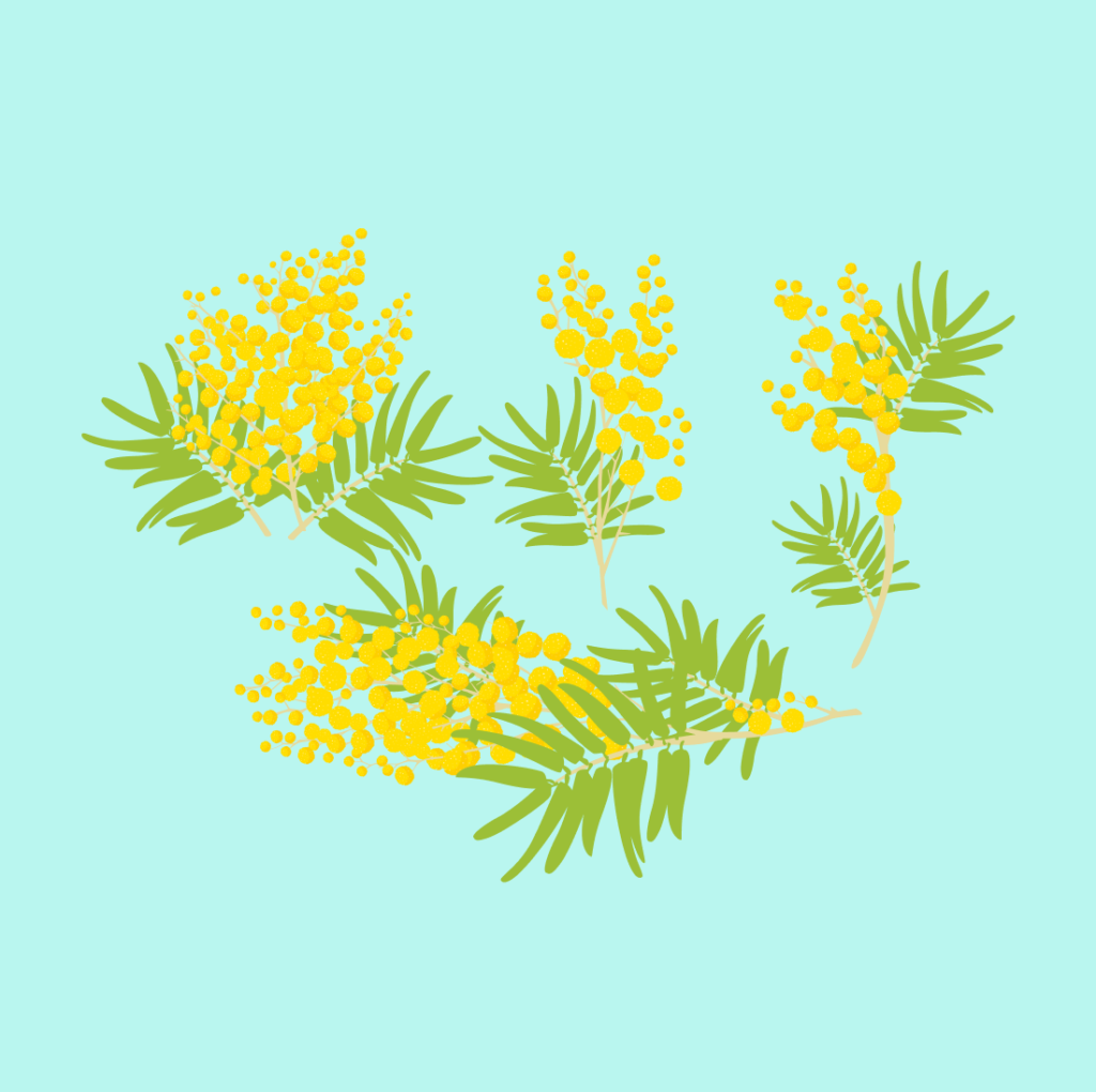 Mimosa SVG Designs – MasterBundles