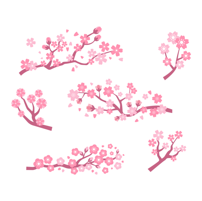 Sakura Flower SVG – MasterBundles