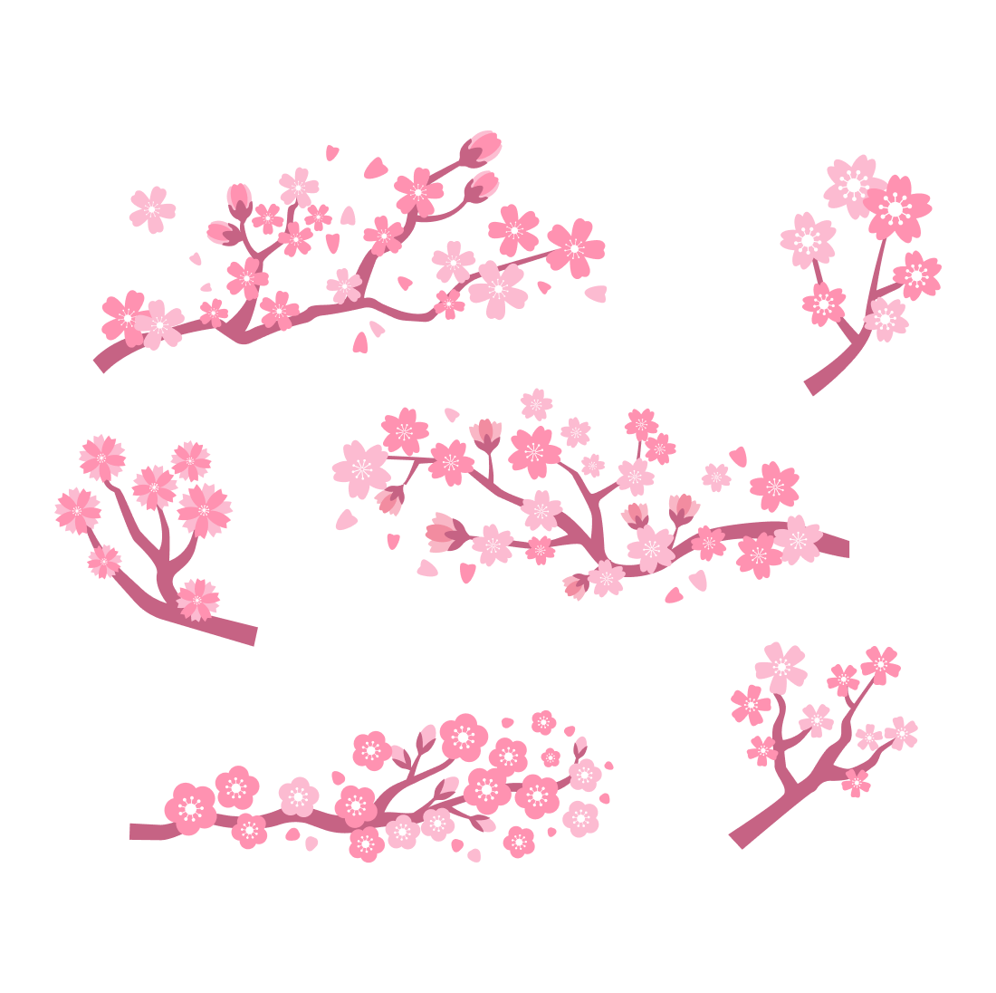 Sakura Flower Svg Cover.