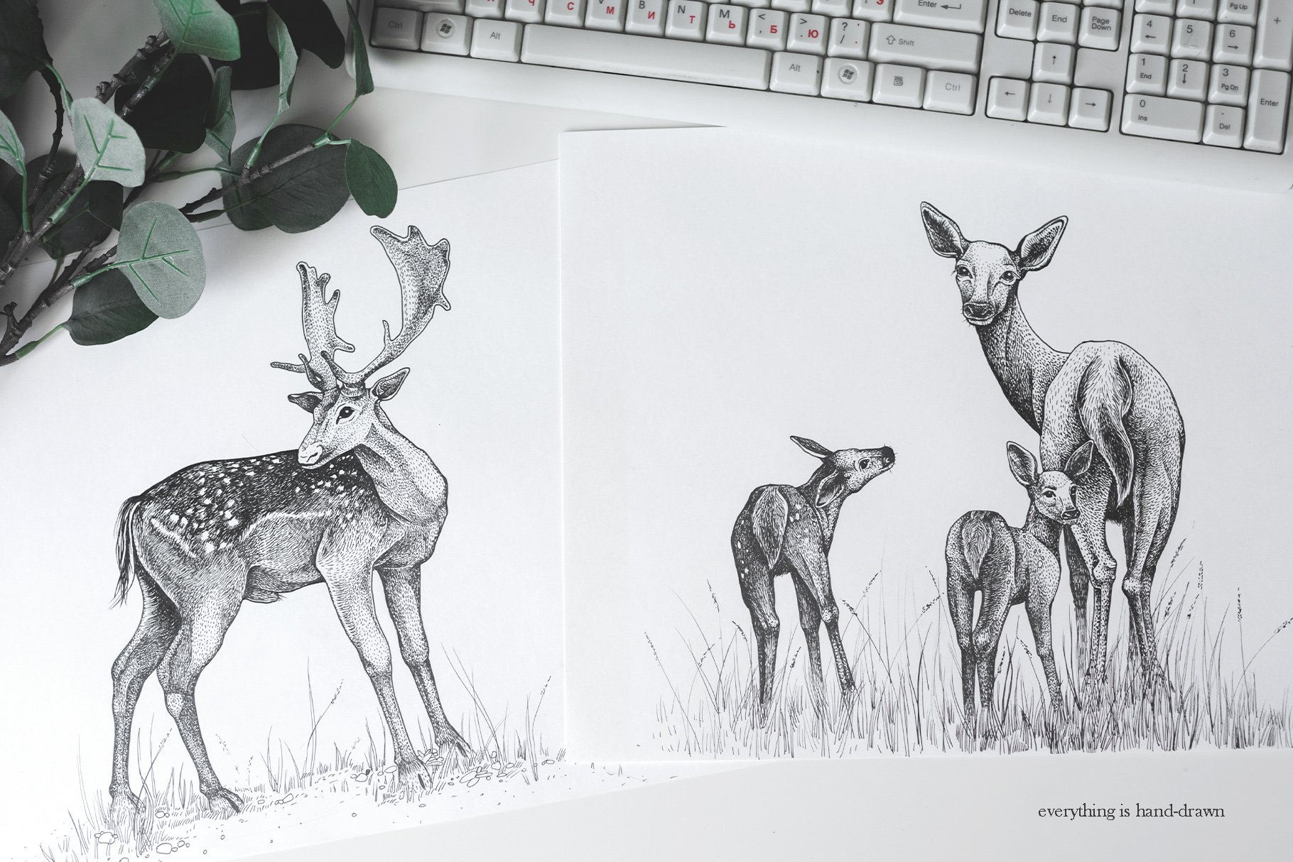 White papers with cute deers illustrations.