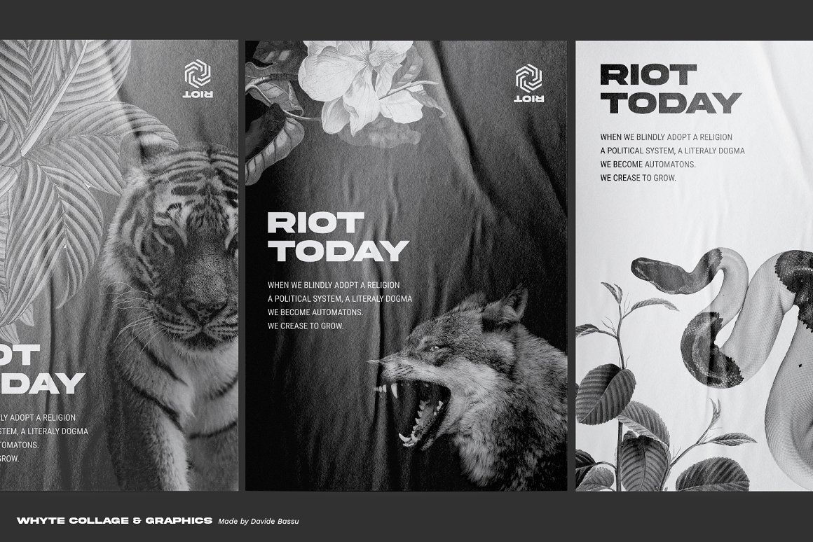 3 posters with lettering "Riot Today" and animals illustrations on a dark gray background.