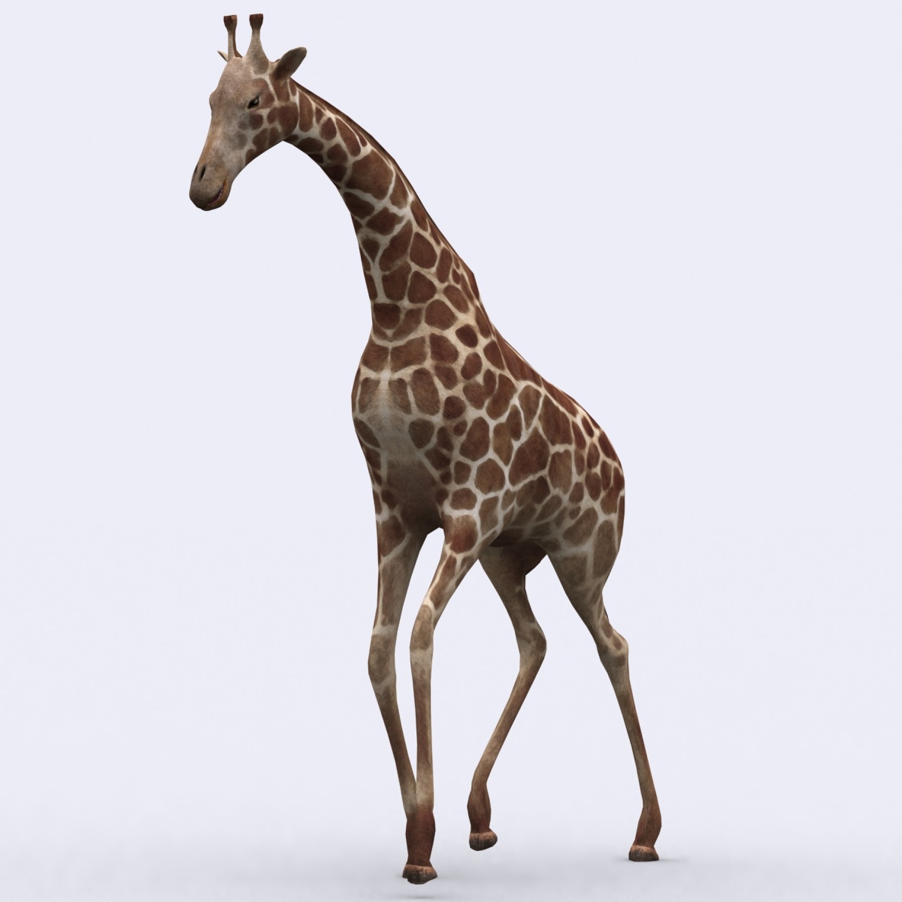 Illustration of lowpoly giraffe on a gray background.