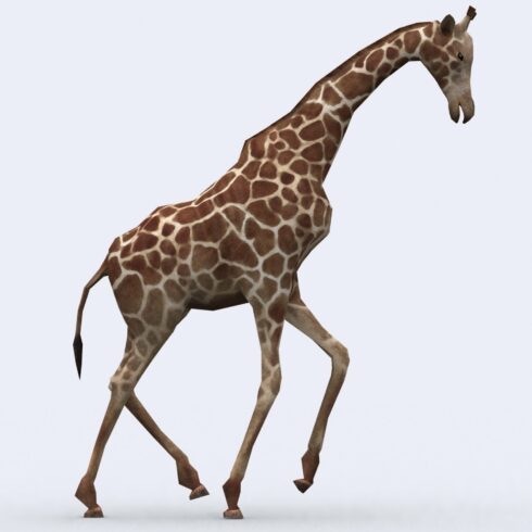 3Drt - Safari animals - Giraffe.
