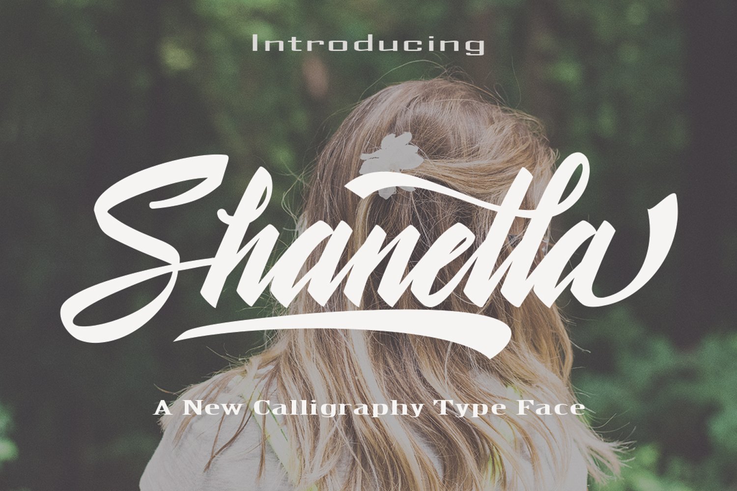 Cover image of Shanella font.