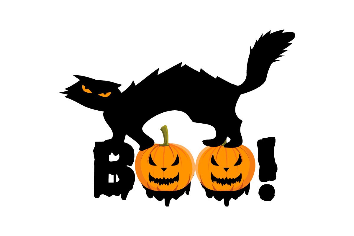 White background with a scary black cat and Halloween pumpkins.