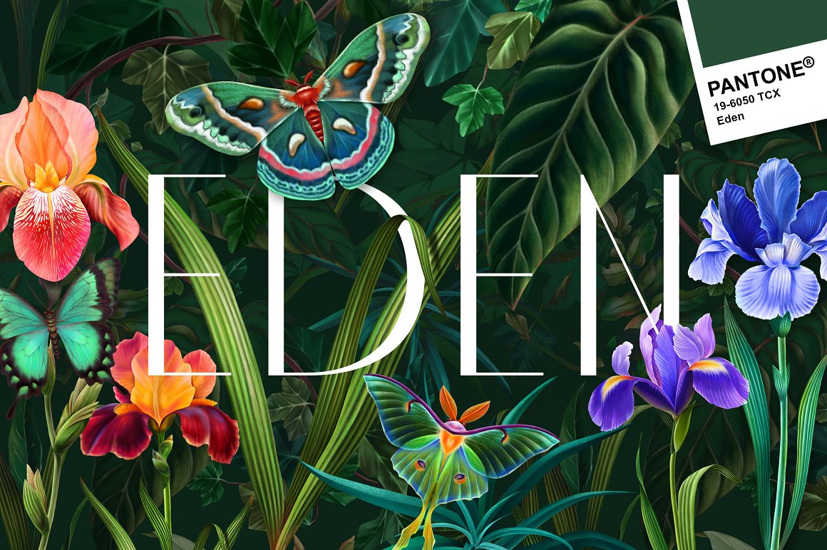 White lettering "EDEN" on the background with butterflies and flowers.