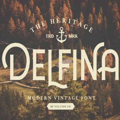 Delfina Modern Vintage Font cover image.