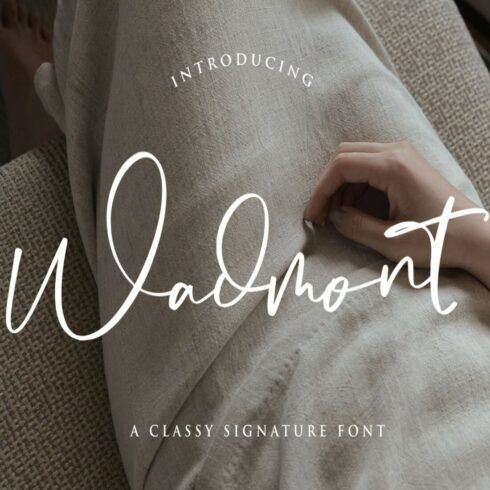 Wadmont Aesthetic Signature Font cover image.