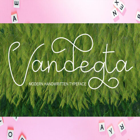 Cover of the adorable Vandegta font.