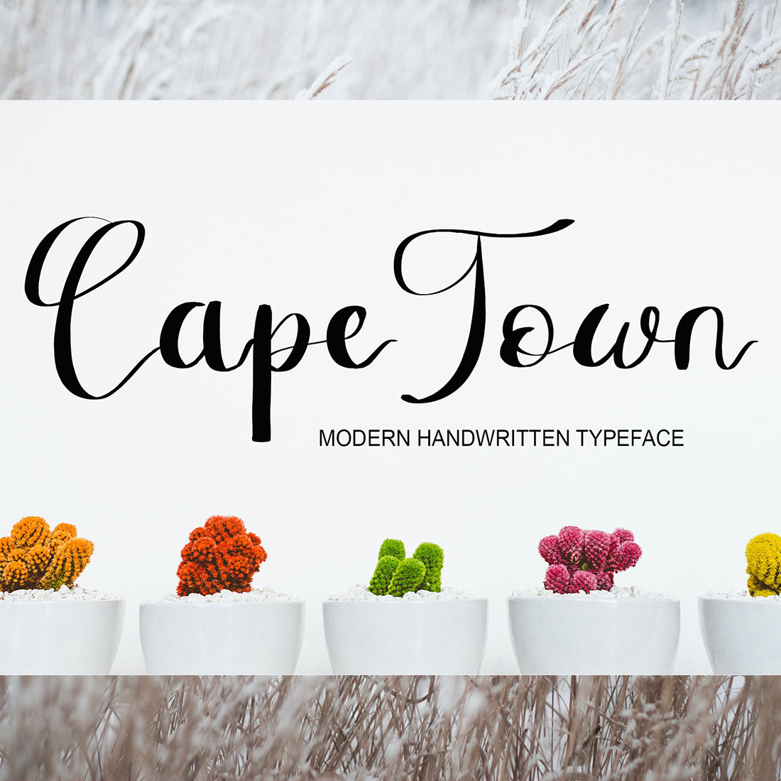Font Script CapeTown Design cover image.