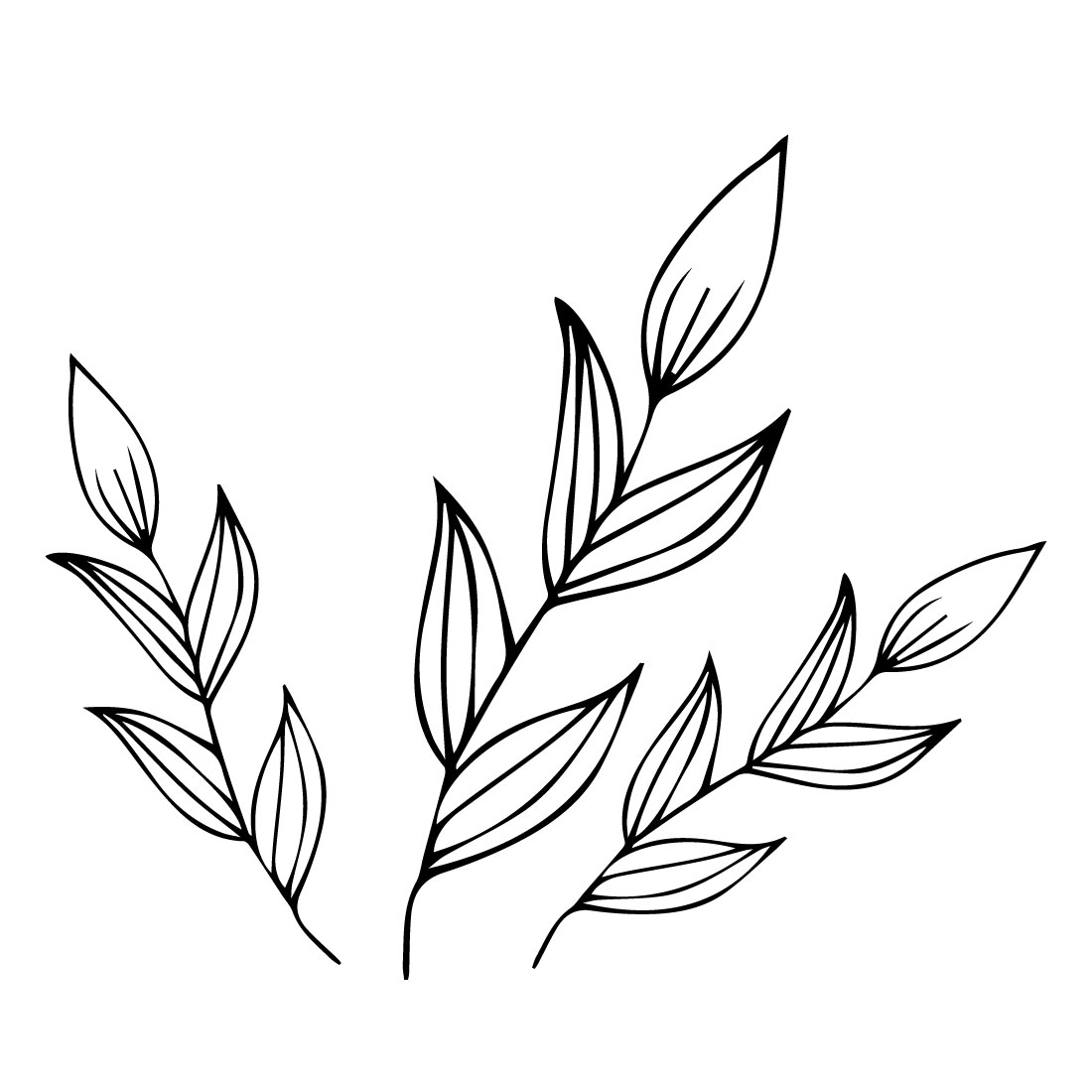 Delicate outline leaves.