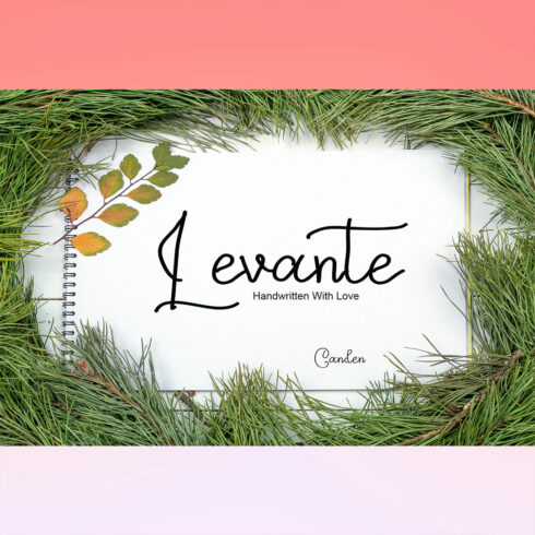 Levante Script Signature Font image cover.