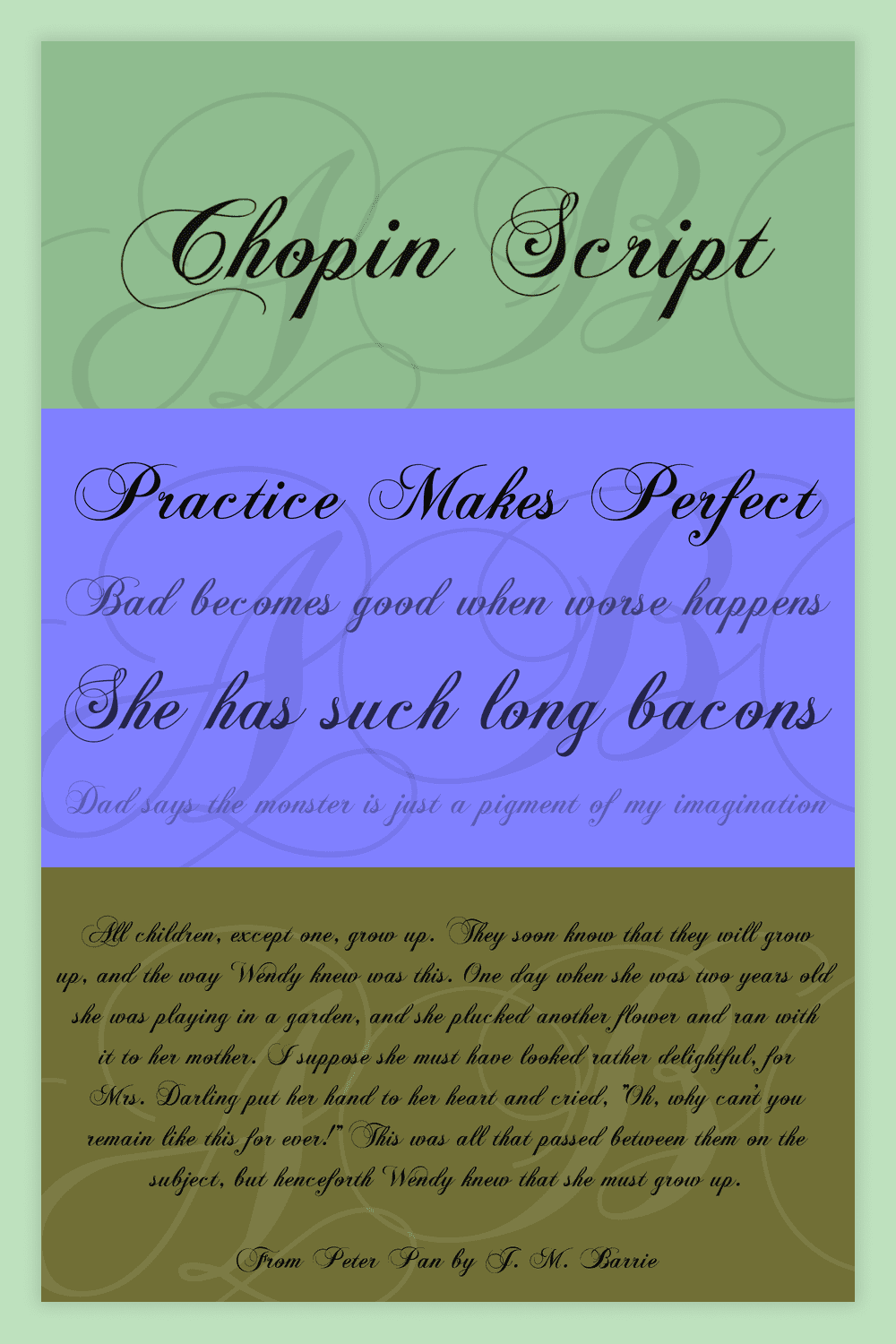 Collage with Chopin script font examples.