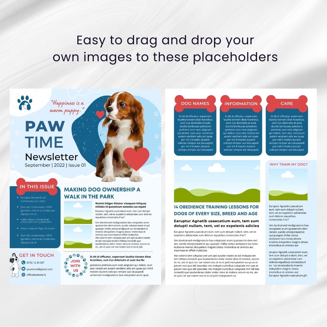 Canva Dog Newsletter Templatec Design review image.