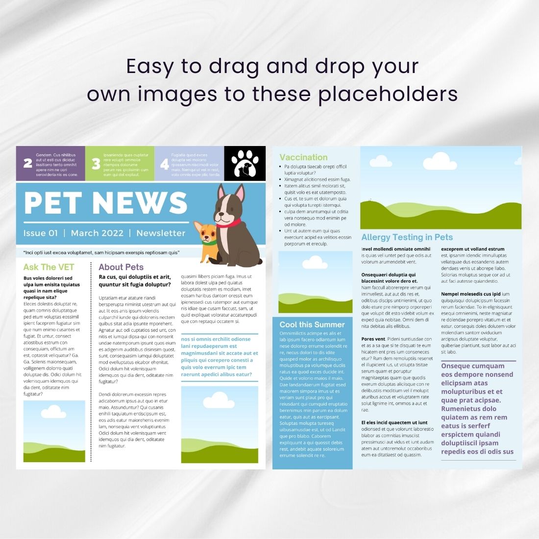 Dog Pet Care News Canva Template preview image.