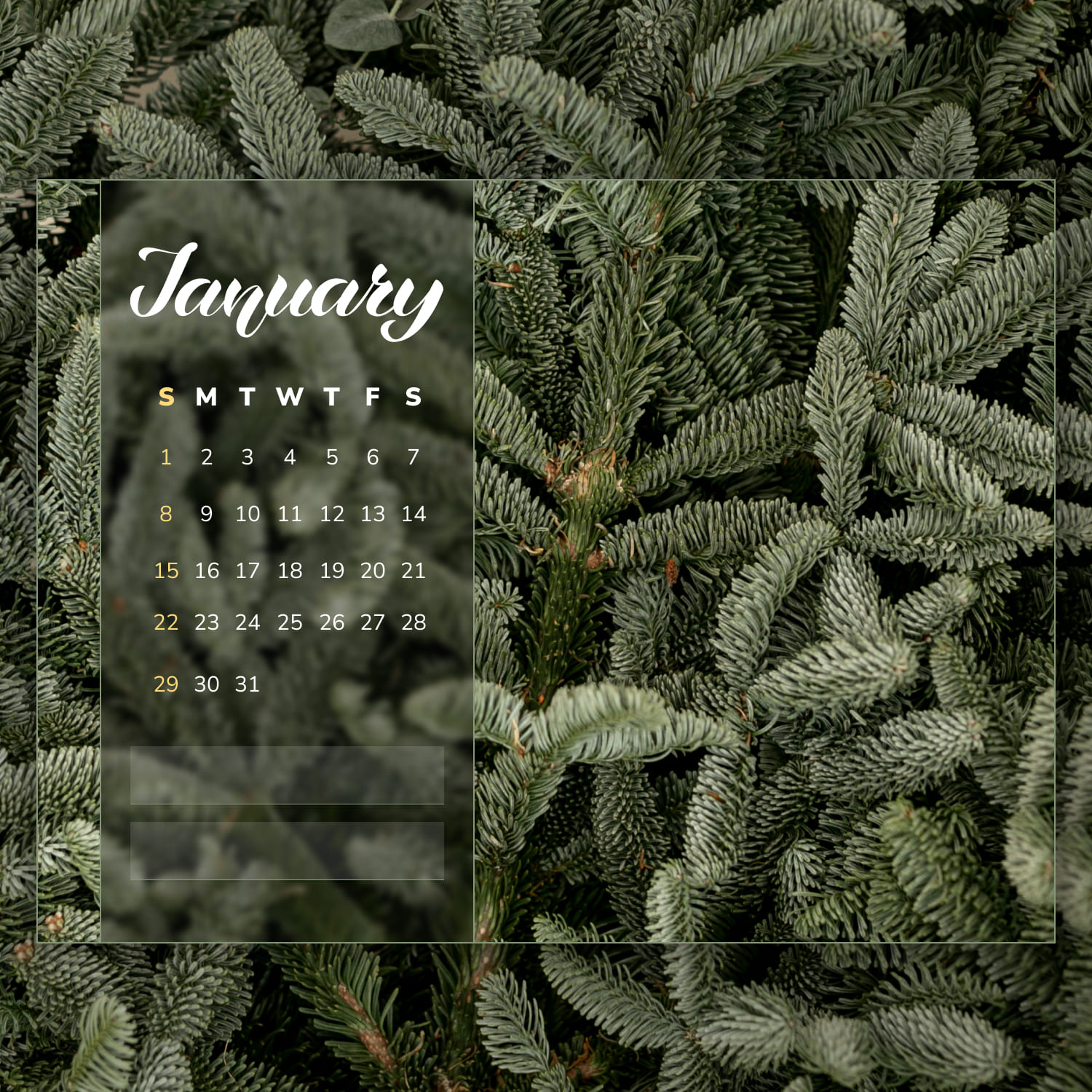 Free January Calendar Christmas Tree cover.