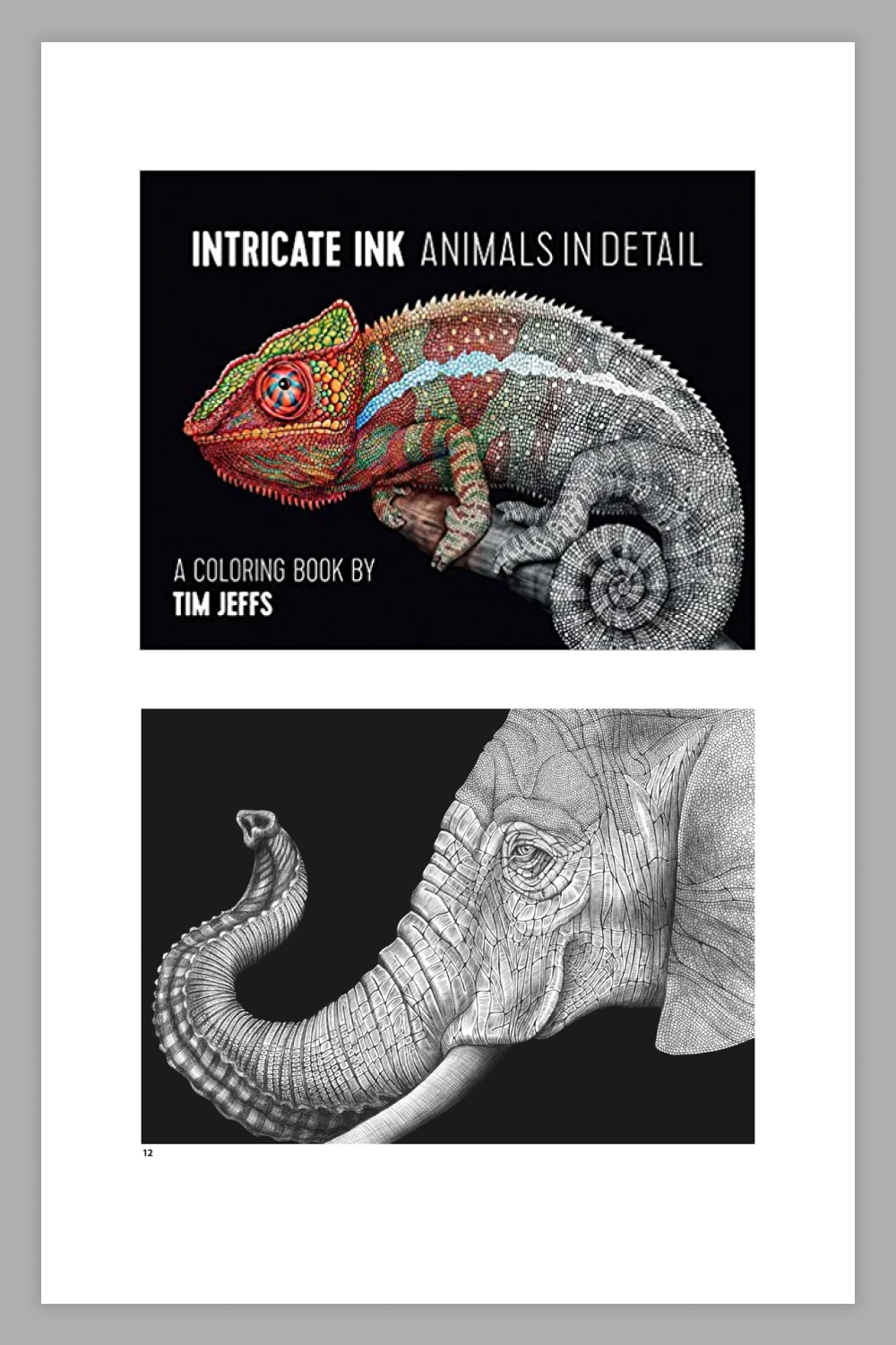 The book Intricate Ink: Animals in Detail.