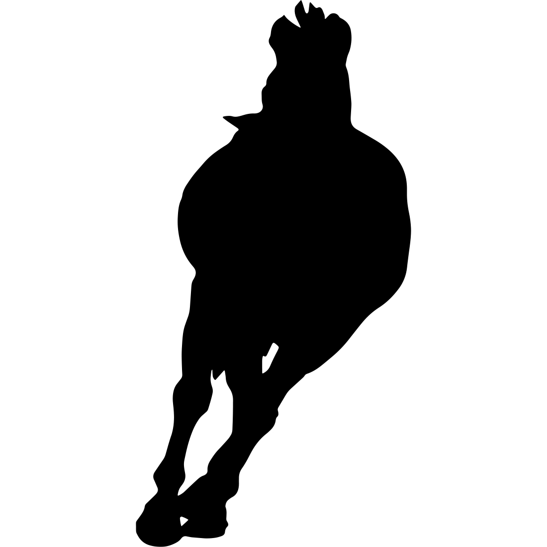 Black and white silhouette of a horse.