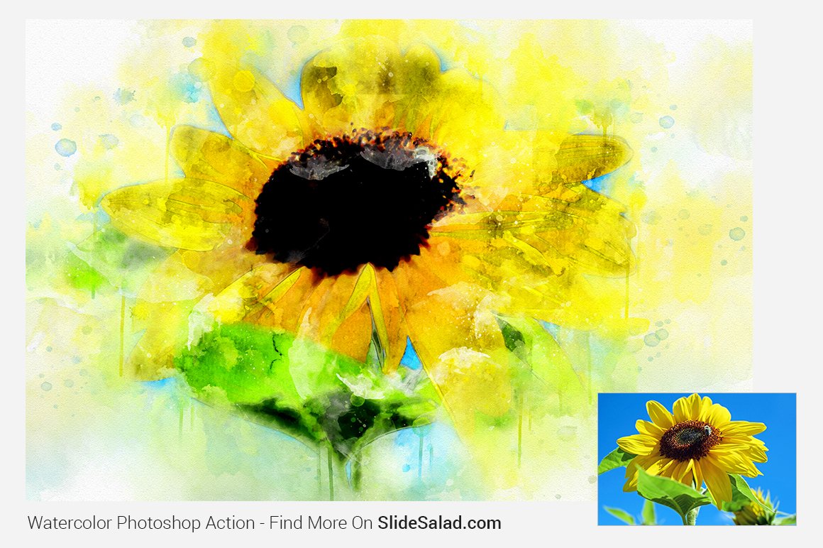 Watercolor Photoshop Action - sunflower painted image.