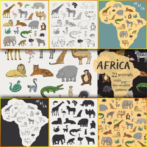 African Animals.