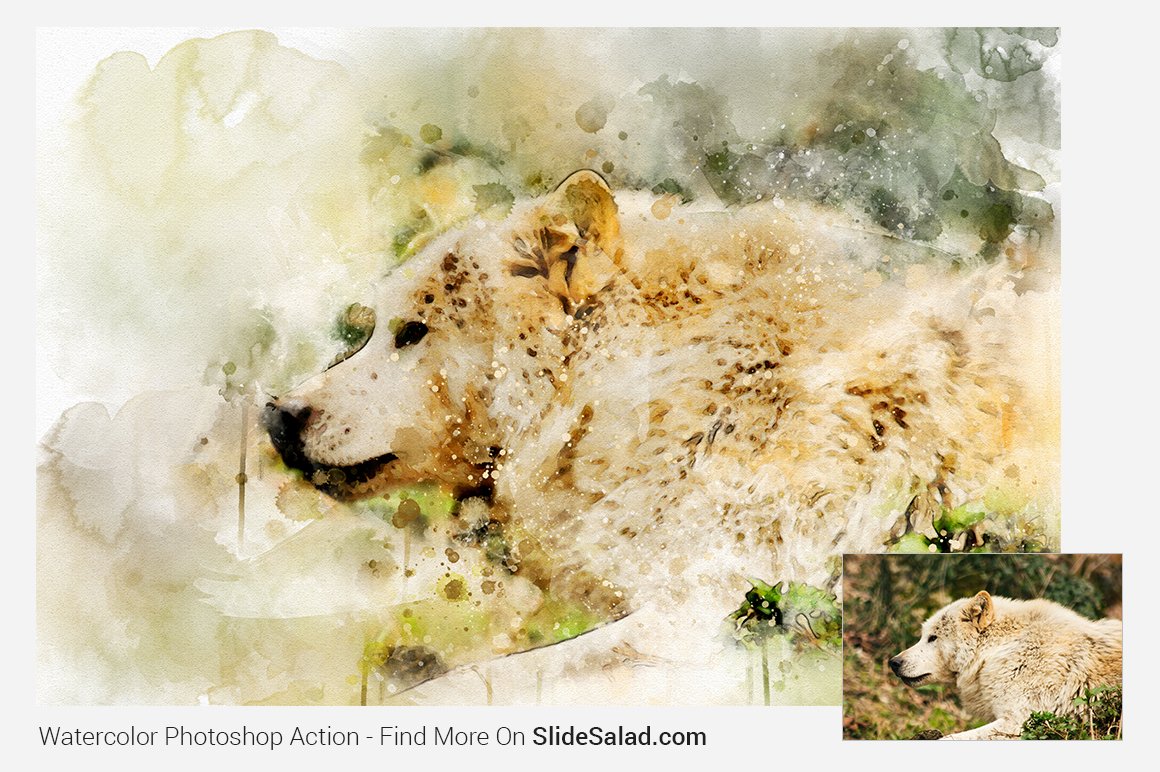 Watercolor Photoshop Action - wolf painted image.