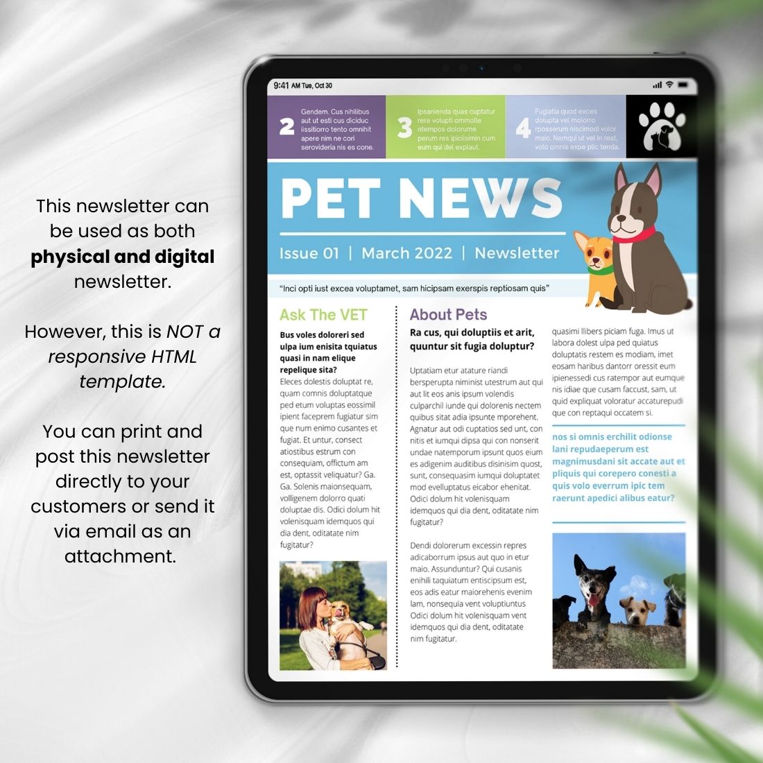 Stylish Pet Care Newsletter Canva Template preview image.