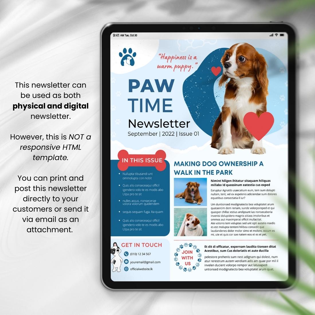 Pets Newsletter Canva Templatec Design review image.
