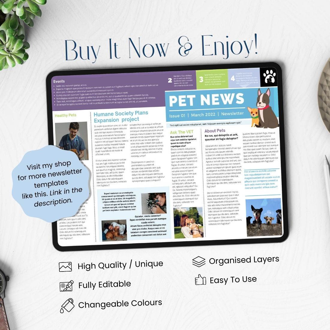 Beautiful Pet Care Newsletter Canva Template preview image.