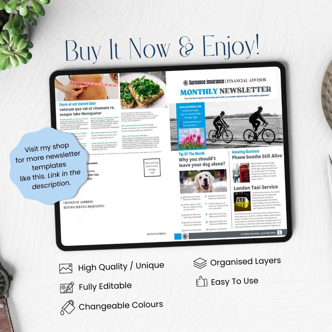Creative Canva Newsletter Financial Template preview image.