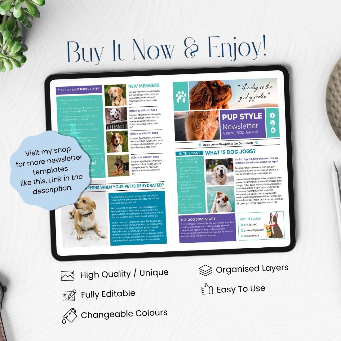 Newsletter Domestic Animals Mockup Canva Template preview image.
