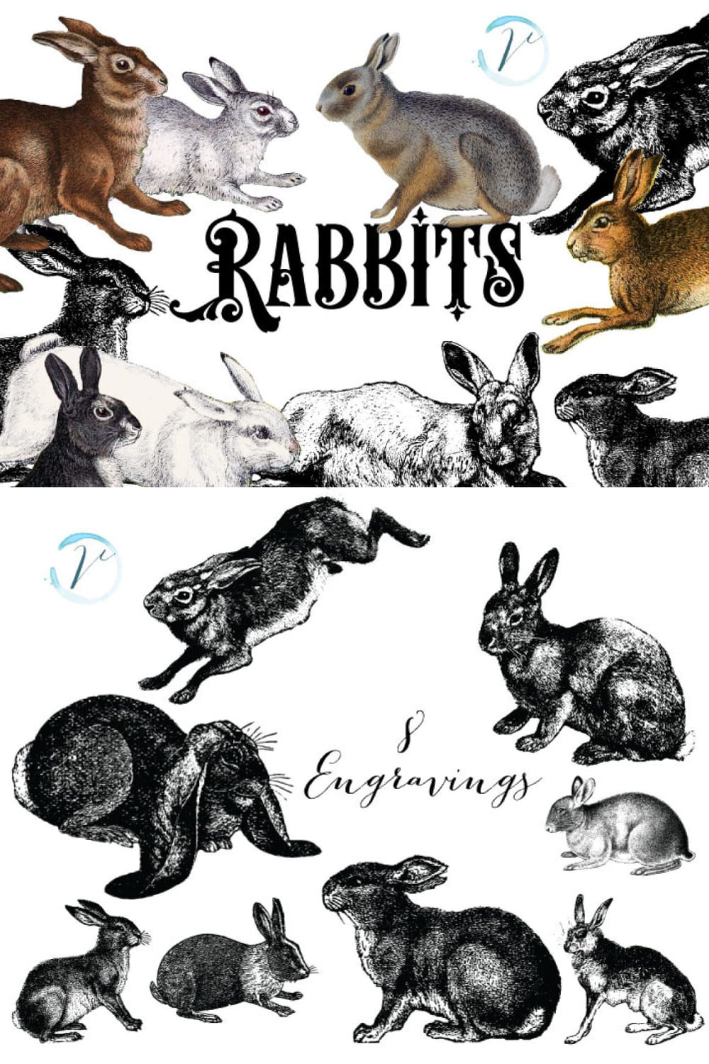 15 vintage rabbits graphics 1000x1500 596
