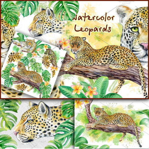 Watercolor. Leopards. Wild cats.