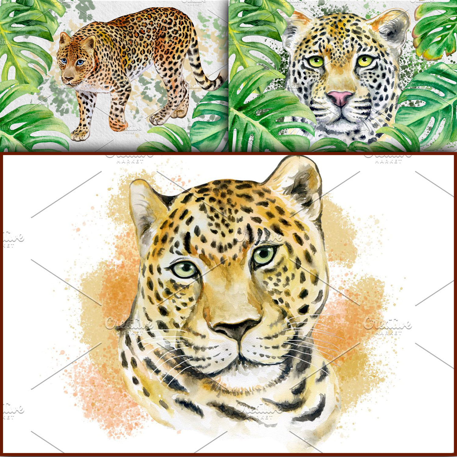 Watercolor. Leopards. Wild cats cover.