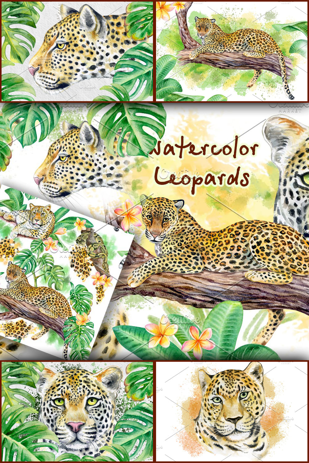 1569790 watercolor leopards wild cats pinterest 1000 1500 687