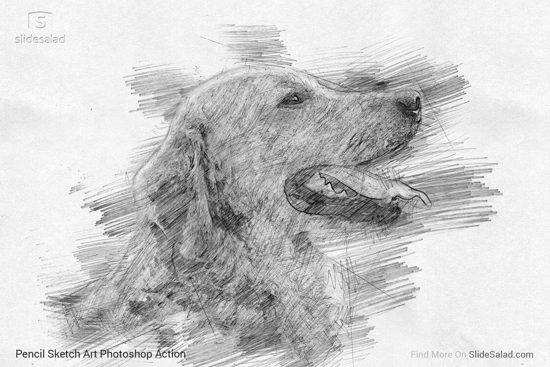 Pencil Sketch Art Photoshop Action - dog drawing example.