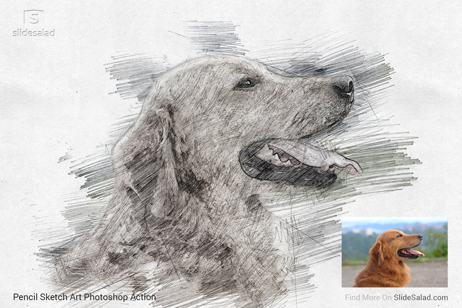 Pencil Sketch Art Photoshop Action - dog drawing with photo.