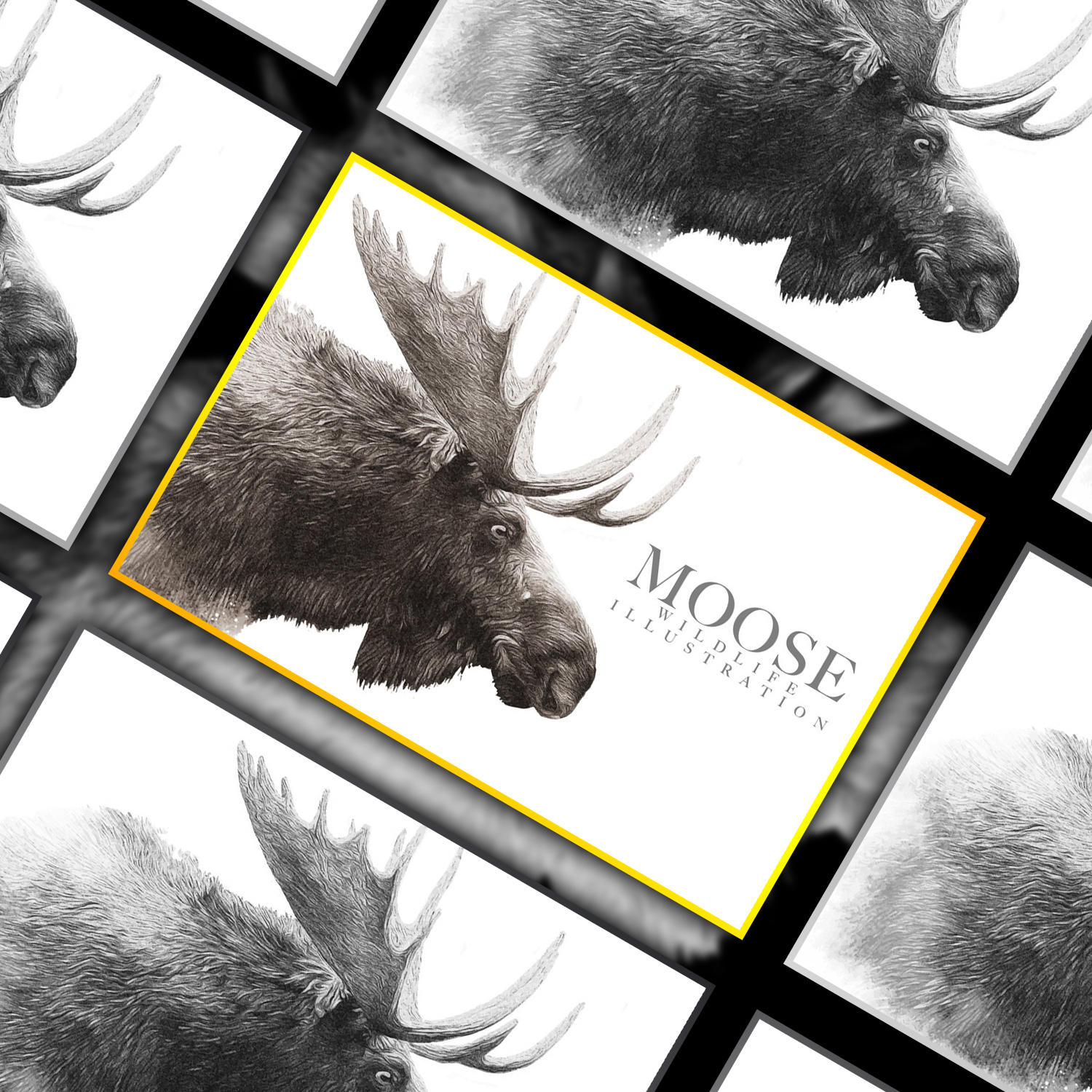 Moose Wildlife Illustration cover.