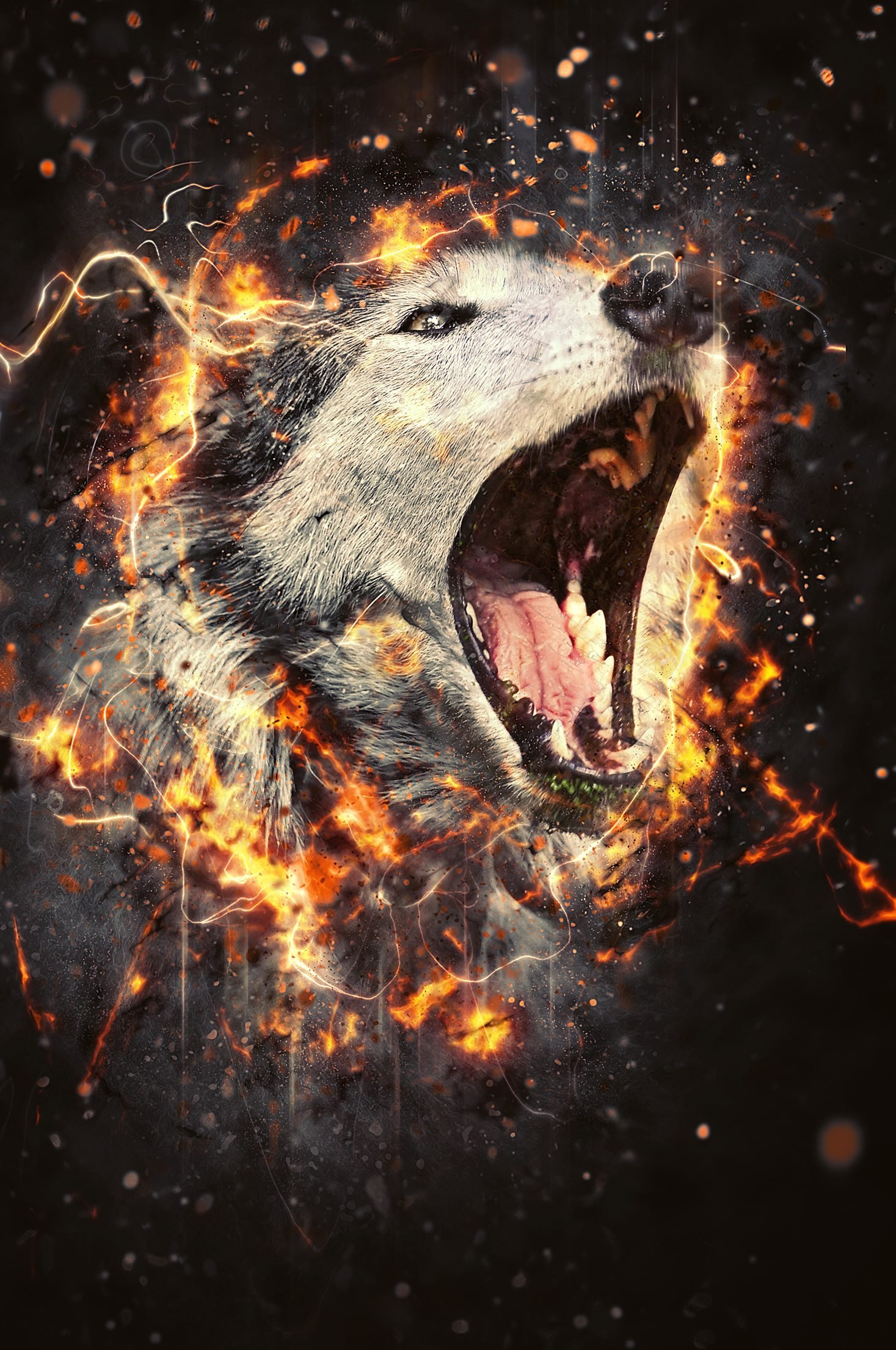 Fury Photoshop Action - wolf image example.