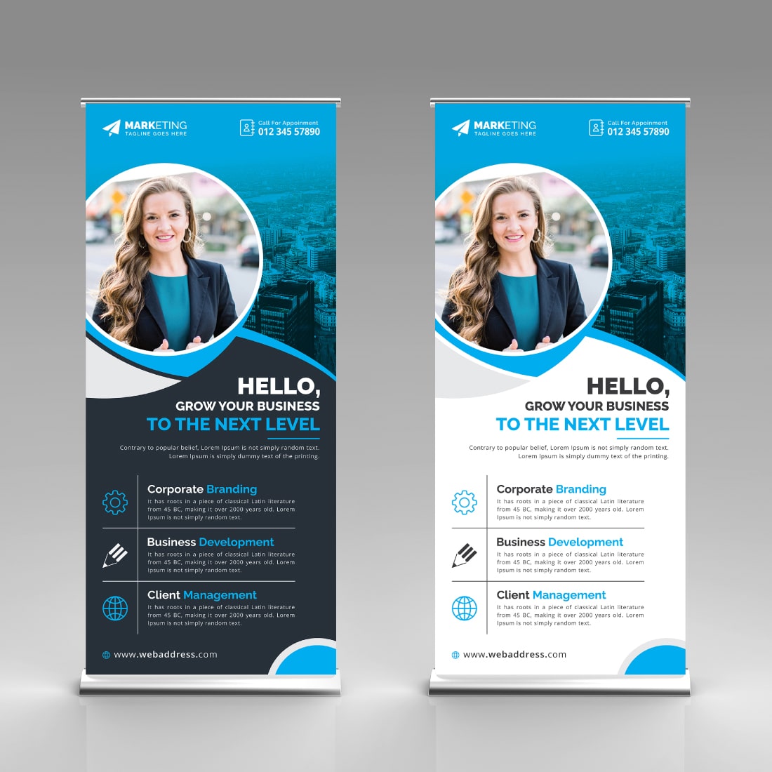 Image of corporate roll up banner in colorful blue design