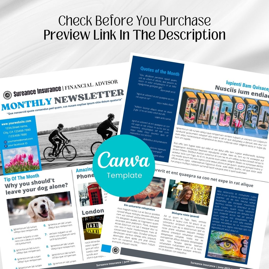 Financial and Business Canva Newsletter Template cover image.
