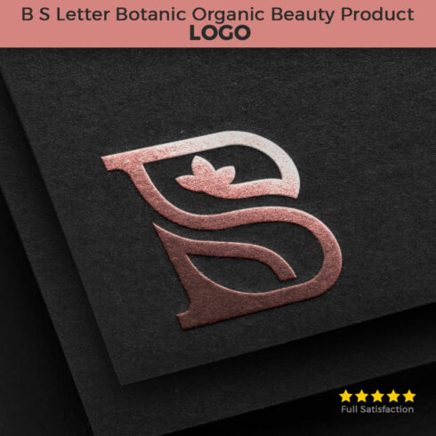 B S Letter Botanic Luxury Logo cover image.
