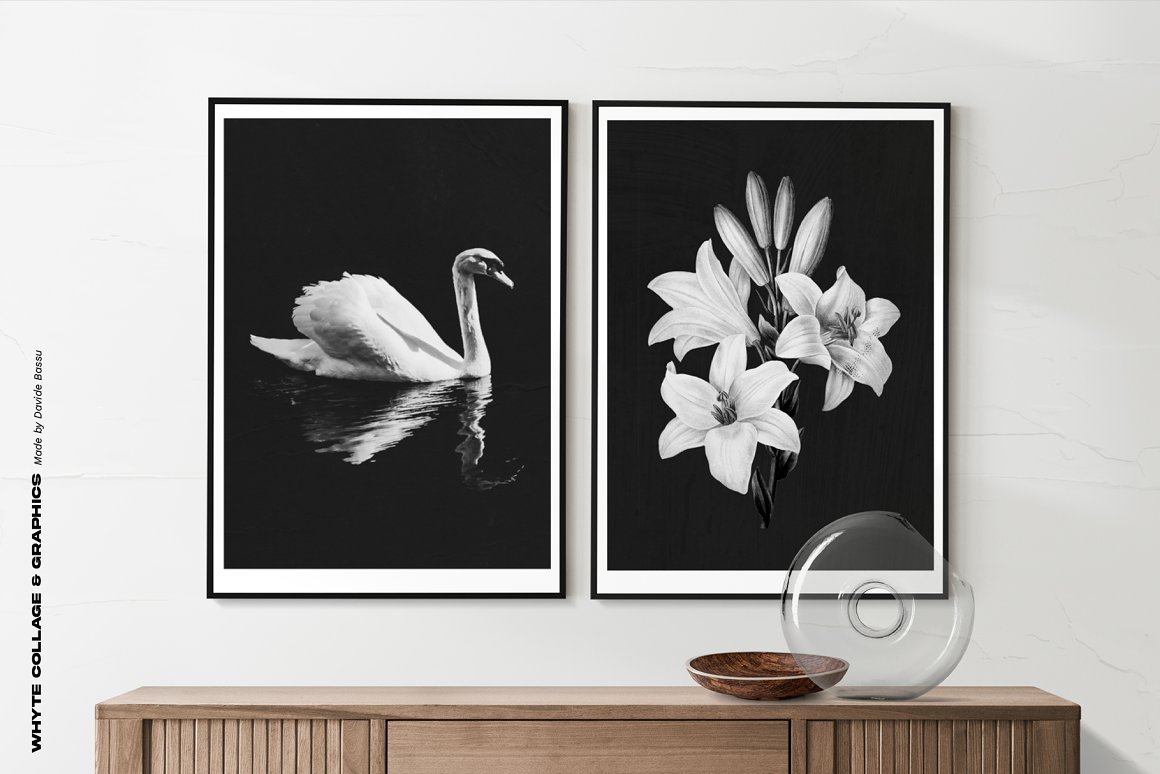 2 white pictures of a swan and flowers on a black background in black frame on the wall.