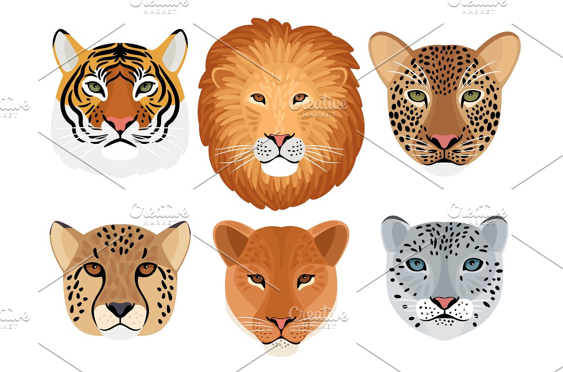 A set of 6 different head of wild cat on a white background.