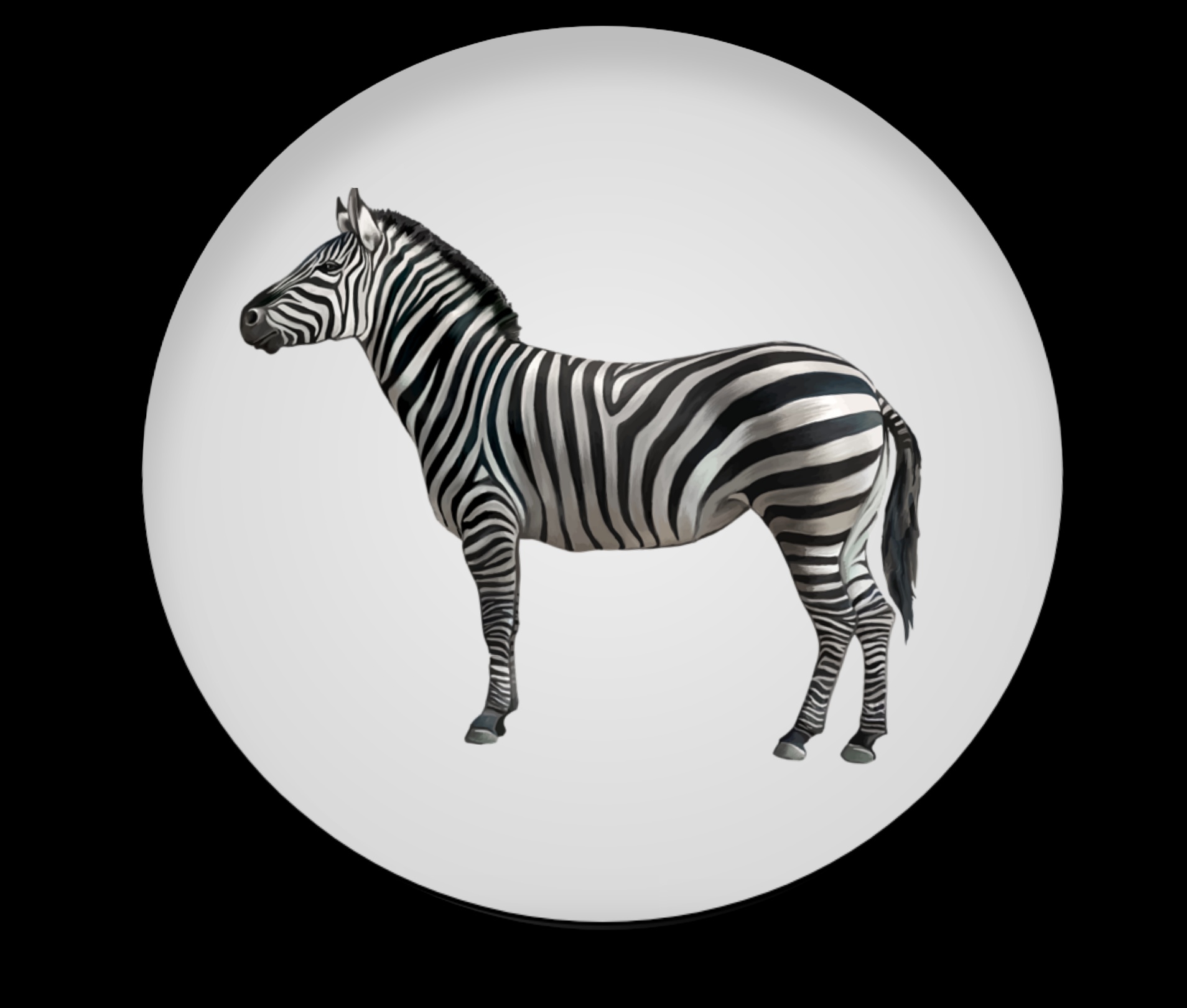 Awesome Artwork Zebra Logo Designs preview image.