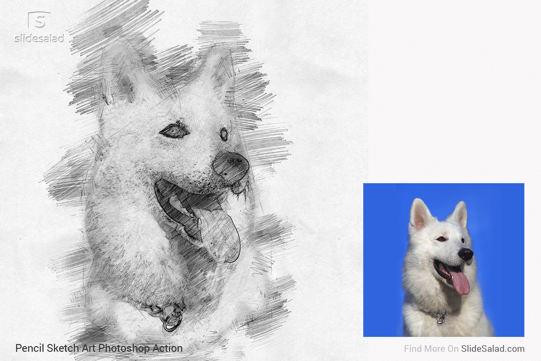 Pencil Sketch Art Photoshop Action - dog portrait with photo.
