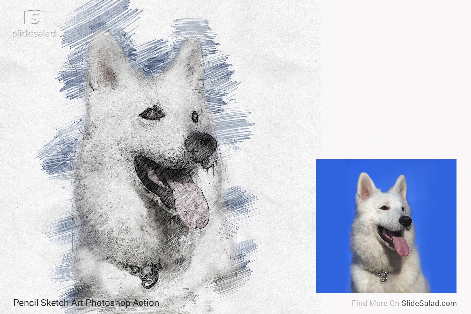 Pencil Sketch Art Photoshop Action - dog portrait colorful version.