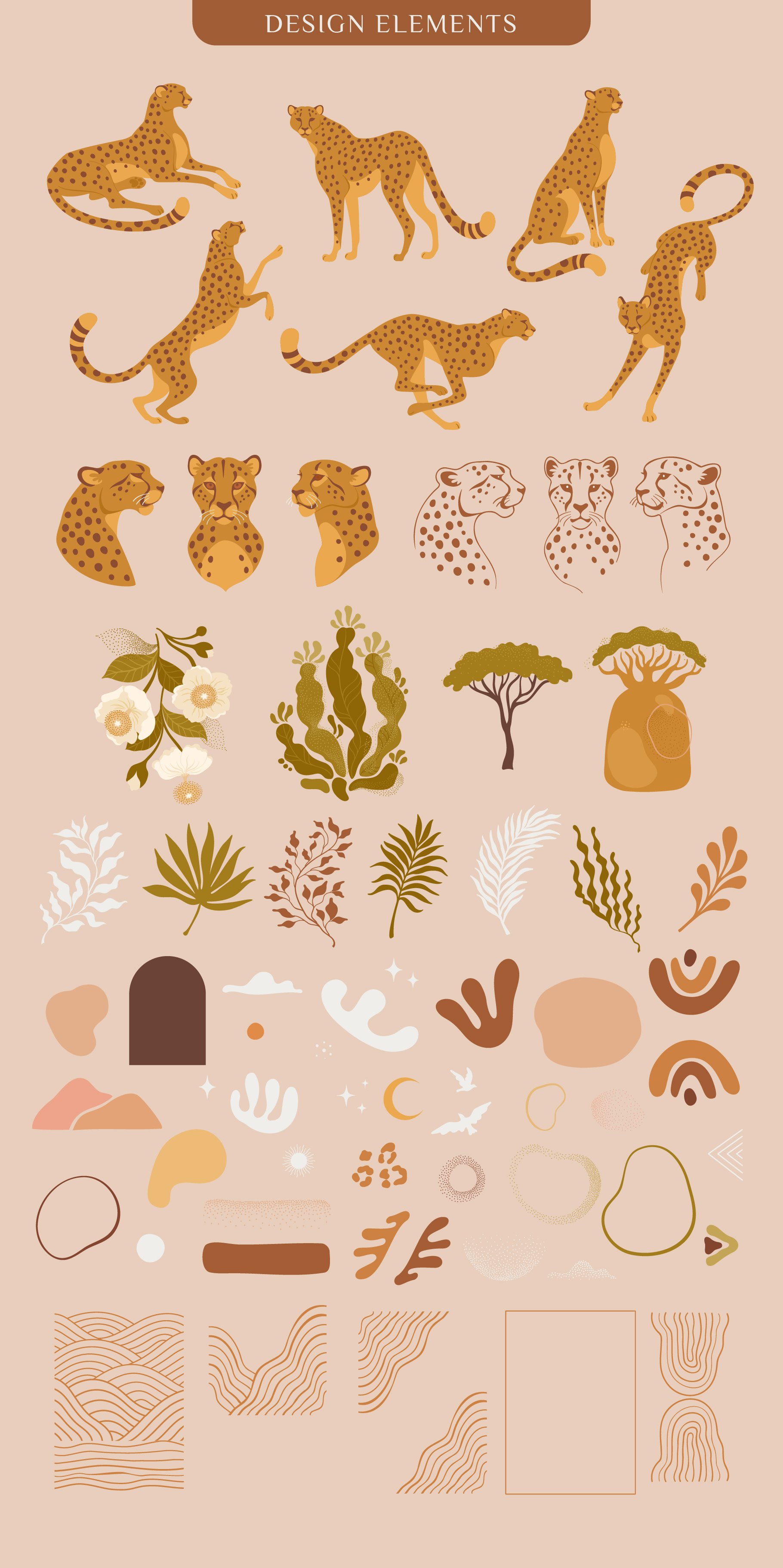 Some separate elements to create a tropical composition with leopard.