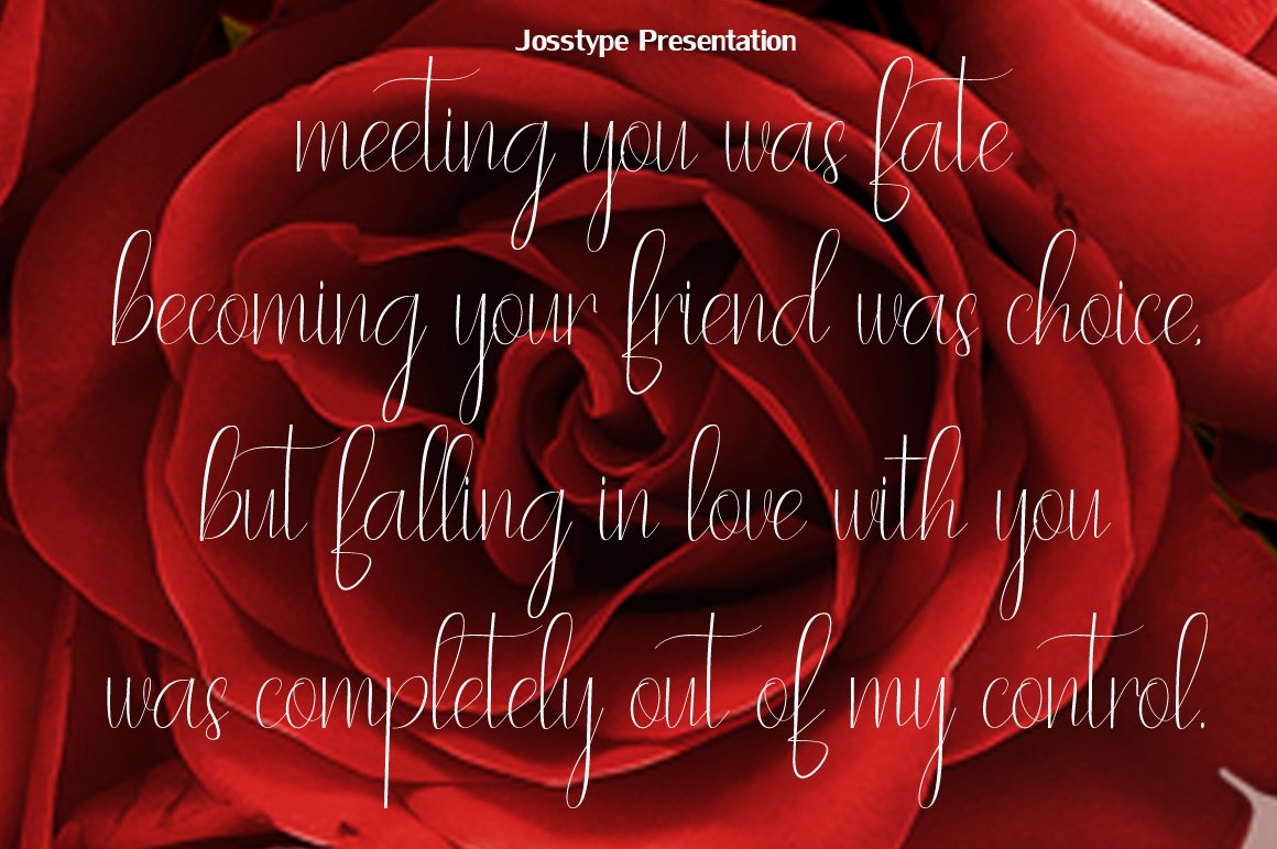 White phrase on the background of image of a rose.