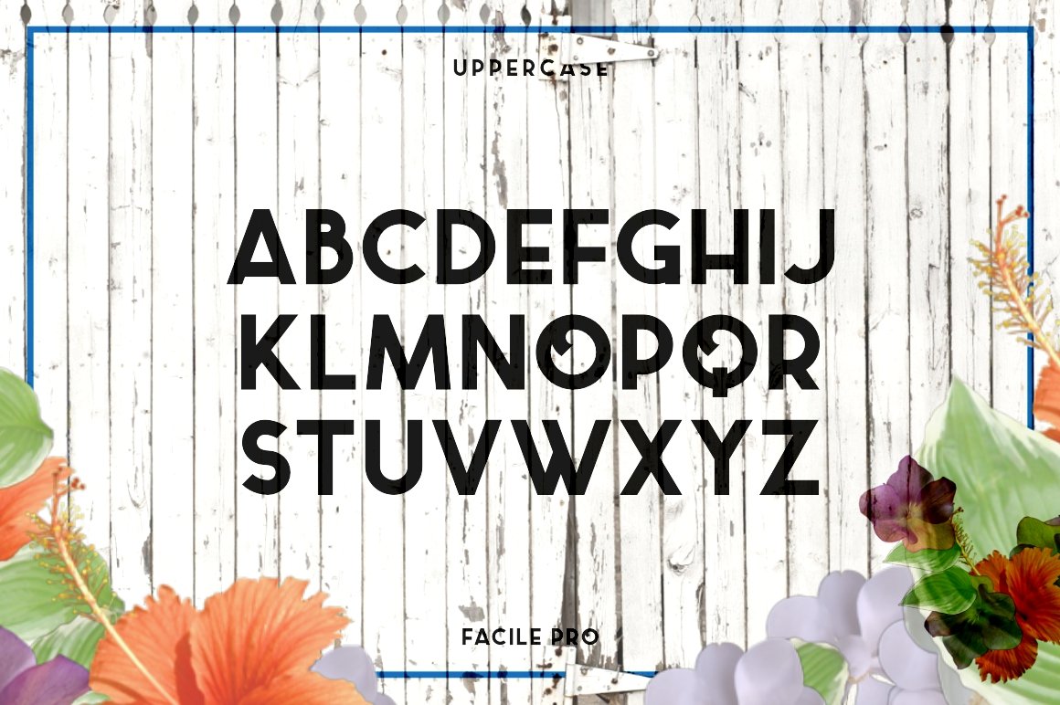 Image with the alphabet of the gorgeous font Facile Pro.