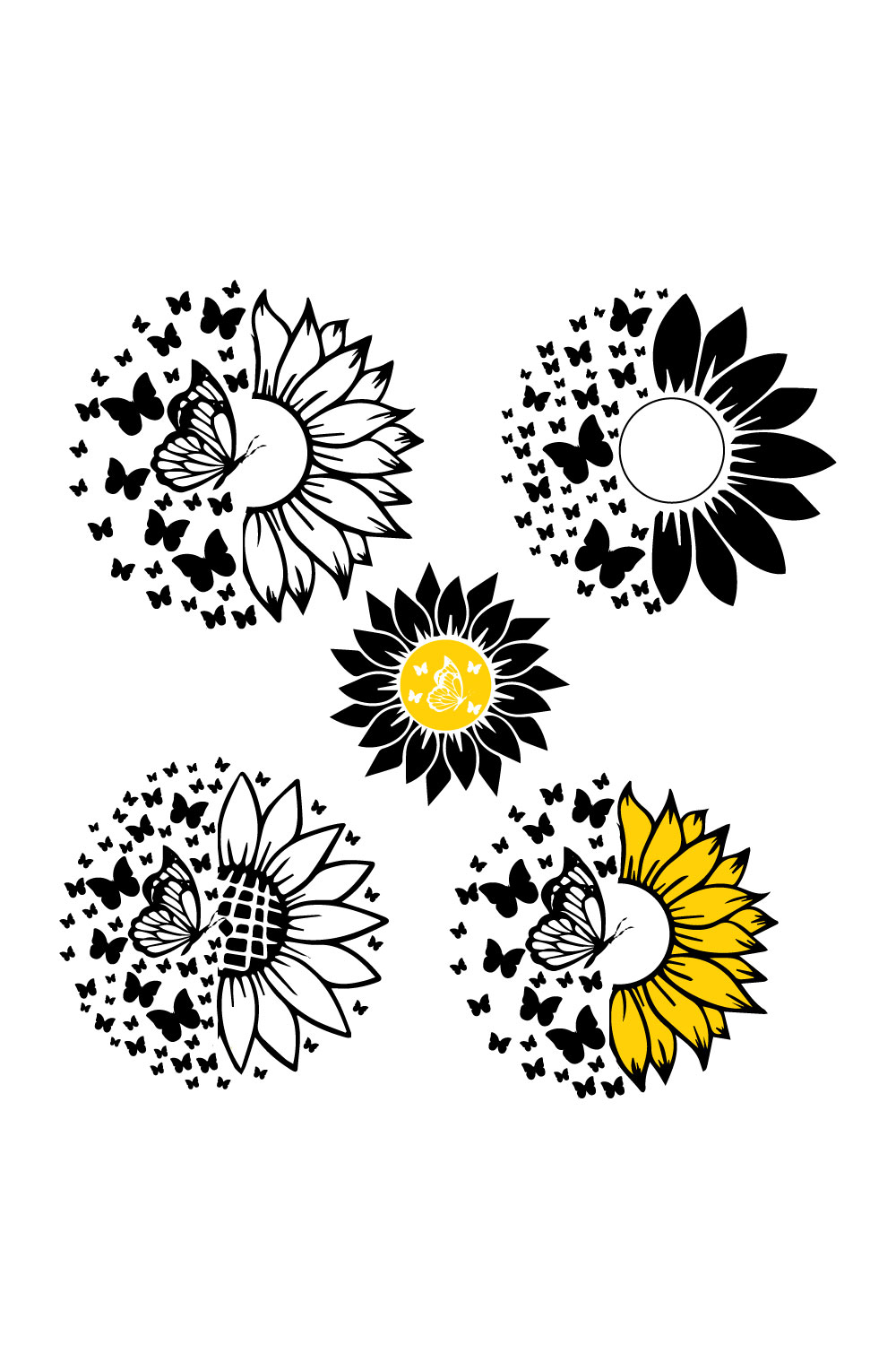 Pack of adorable images of sunflower flowers